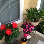 Constance McLaughlin - @constance_mclaughlin - Instagram