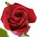 Constance Mitchell - Facebook