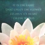 Constance Patrick - Facebook