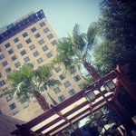 Patrick Constance - @patrickconstance53 - Instagram