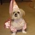 Constance Paul - Facebook