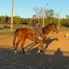 constancesmith48 - @constance46815 - TikTok