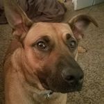 Constance Thompson - @constancethompson3664 - Instagram