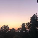 Constance Walsh - @constancewalsh - Instagram