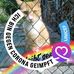 Constanze Weiß - Facebook