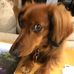 Connie Yip - Facebook