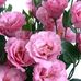 Constantin Alexandra - Facebook
