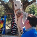 Constantin Serban - @constantin.serban.585 - Instagram