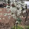soranconstantin - @soranconstantin - TikTok