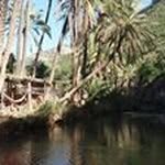 Soraya Constantin - @sorayaconstantin - Instagram