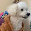 Constanza Martinez - @constanza.martine760 - TikTok