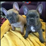 Constanza Orozco - Facebook