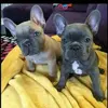 Constanza Orozco - @constanza.orozco - TikTok