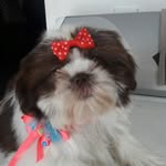 constaza - @constanza_orozco37 - Instagram