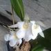 Constanza Martinez Pinzon - Facebook