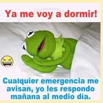 constanza pinzon - @pinzon.constanza - Instagram