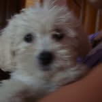 Consuelo Aviles - @consuelo.aviles.14 - Instagram