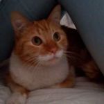 Consuelo Cabrera - @consuelo.cabrera.376 - Instagram