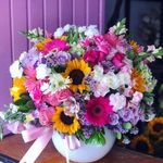 Consuelo Cabrera - @consuelo.cabrera.7355079 - Instagram