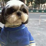 Consuelo Navarro - @consuelonavarro54 - Instagram