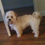cookie - @fowlercookie18 - Instagram