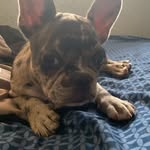 Cookie Palmer - @cockeyed_cookie - Instagram