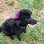 Cookie Parsons - Facebook
