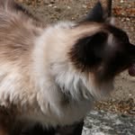 Cookie Thomas - @cookie.thomas.750 - Instagram