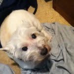cookie_thomas_wheeler - @cookie_thomas_wheeler - Instagram
