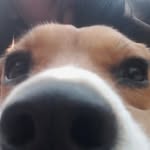 Mr cookie Thomas - @mrcookiethomas - Instagram