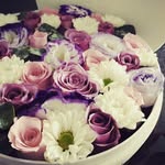 Cookie Woo - @woo.cookie - Instagram