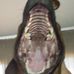Cooper Bailey - Facebook
