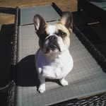 Cooper berg - @bergberg5773 - Instagram