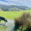 Cooper - @cooperbergman731 - TikTok