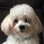 Cooper.Bergin - @cooper.bergin2 - Instagram