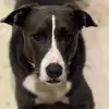 CB1428 - @cooper.bowles - TikTok