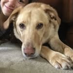 @cooperchungus139 - Instagram