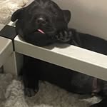 Cooper Foster - @cooperfoster365diary - Instagram
