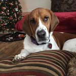 Ellen Cooper-Foster - @ellencooperfoster - Instagram