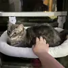 Cooper Gilbert - @cooper.gilbert0 - TikTok