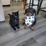 Cooper Gilbert - @coopergilbert63 - Instagram