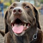 Cooper Gilbert - @coopygilbert - Instagram