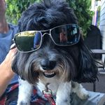 Cooper_Gilbert - @super_cooper_gilbert - Instagram