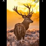 Cooper Gordon - @cooper_gordon123 - Instagram