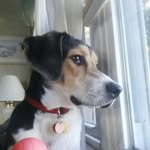 Cooper Hancock - @coopersnooper215 - Instagram