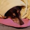 Cooper_healy08 - @cooper_healy0878 - TikTok