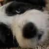 CooperHolbrook5 - @cooper.holbrook - TikTok
