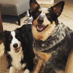 Jessica Holbrook - @cooper_daisy_holbrook - Instagram