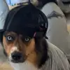 Cooper J - @cooper..johnson - TikTok