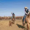 Cooper Johnson - @cooperjohnson2781 - TikTok